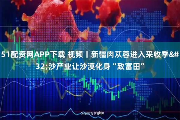 51配资网APP下载 视频丨新疆肉苁蓉进入采收季 沙产业让沙漠化身“致富田”