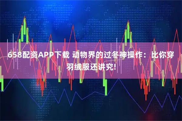 658配资APP下载 动物界的过冬神操作：比你穿羽绒服还讲究!