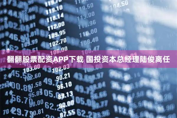 翻翻股票配资APP下载 国投资本总经理陆俊离任