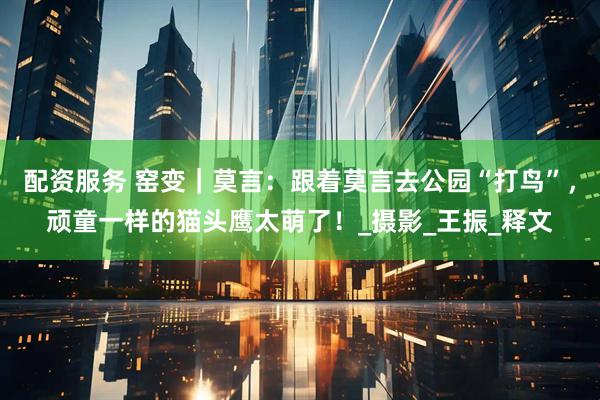 配资服务 窑变｜莫言：跟着莫言去公园“打鸟”，顽童一样的猫头鹰太萌了！_摄影_王振_释文