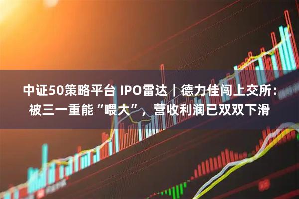 中证50策略平台 IPO雷达｜德力佳闯上交所：被三一重能“喂大”，营收利润已双双下滑