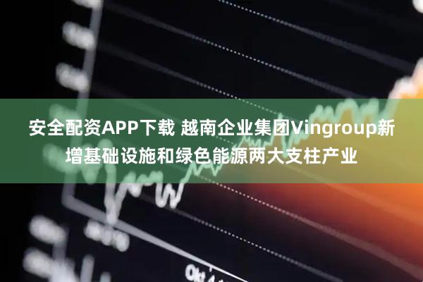 安全配资APP下载 越南企业集团Vingroup新增基础设施和绿色能源两大支柱产业