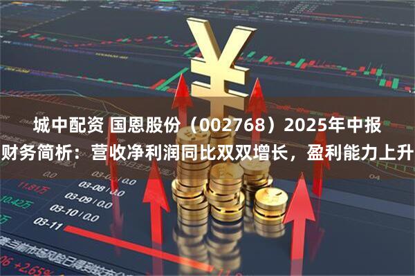 城中配资 国恩股份（002768）2025年中报财务简析：营收净利润同比双双增长，盈利能力上升