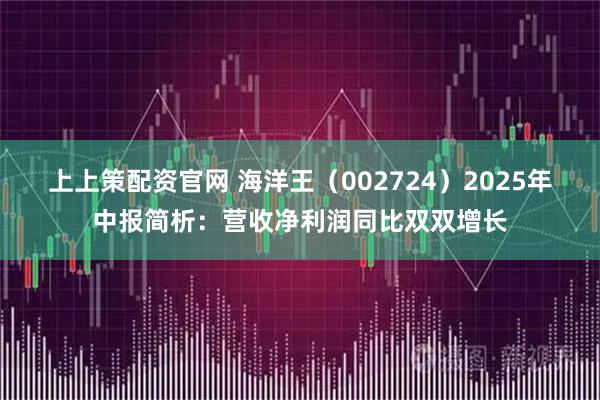 上上策配资官网 海洋王（002724）2025年中报简析：营收净利润同比双双增长